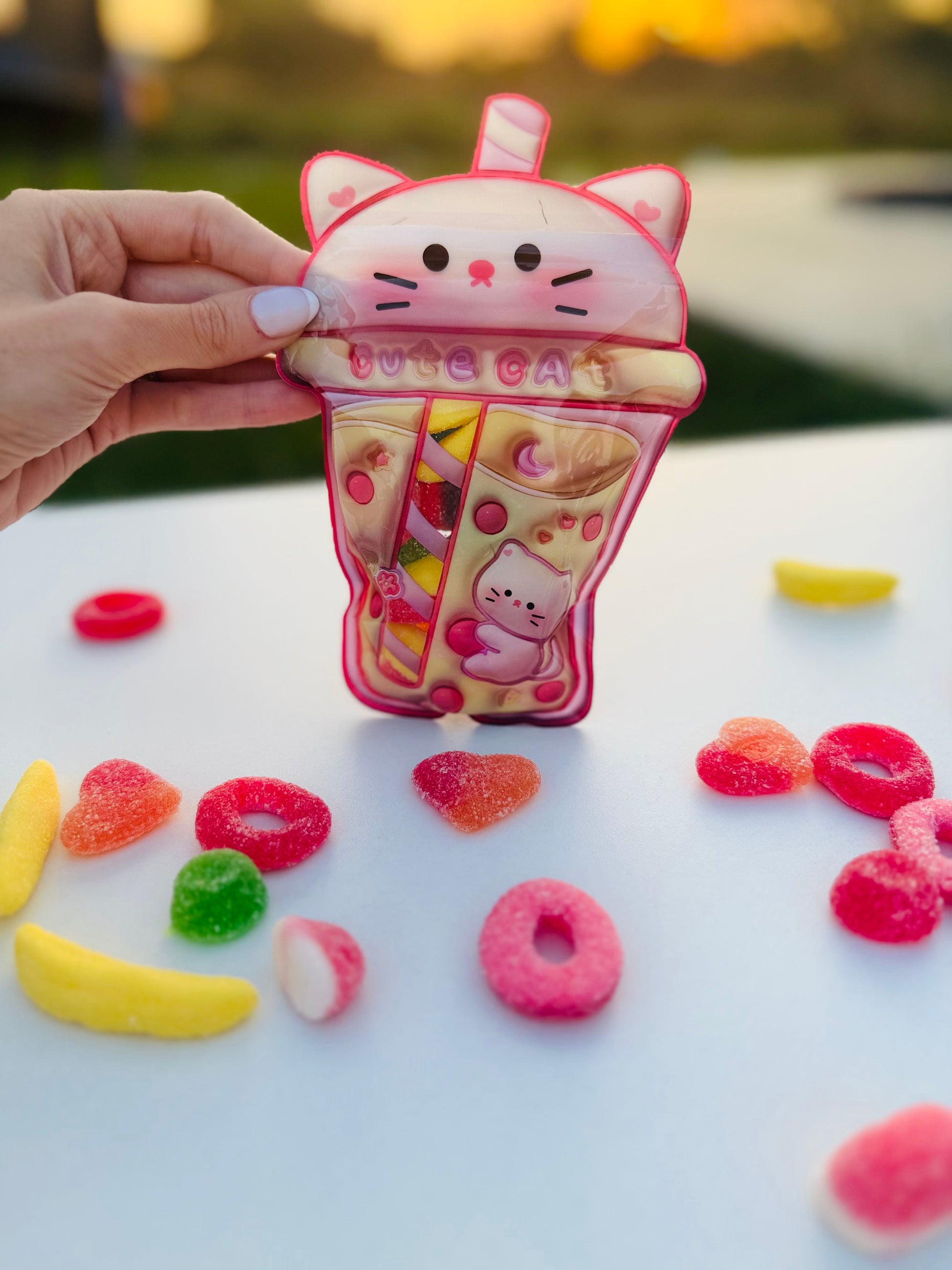 Sachet petit chaton VIDE - l’unité