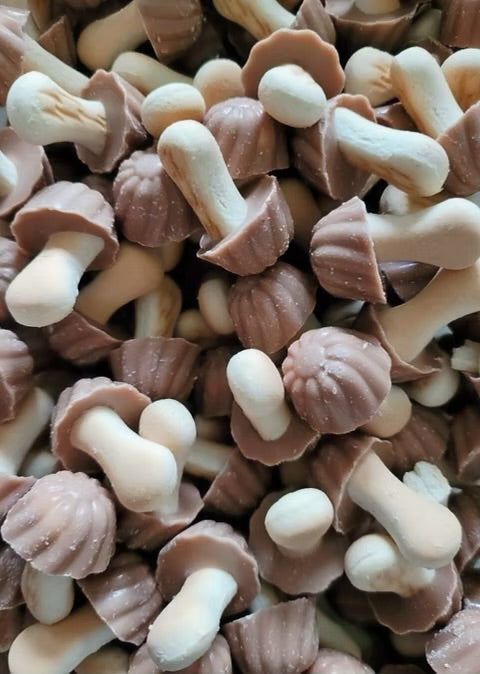 Champignons Chocolat caramel- 100g