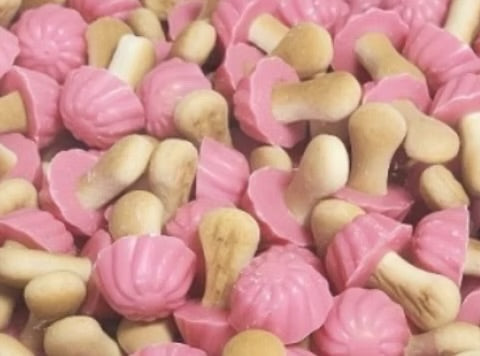 Champignons Fraise Chocolat - (Par 10)