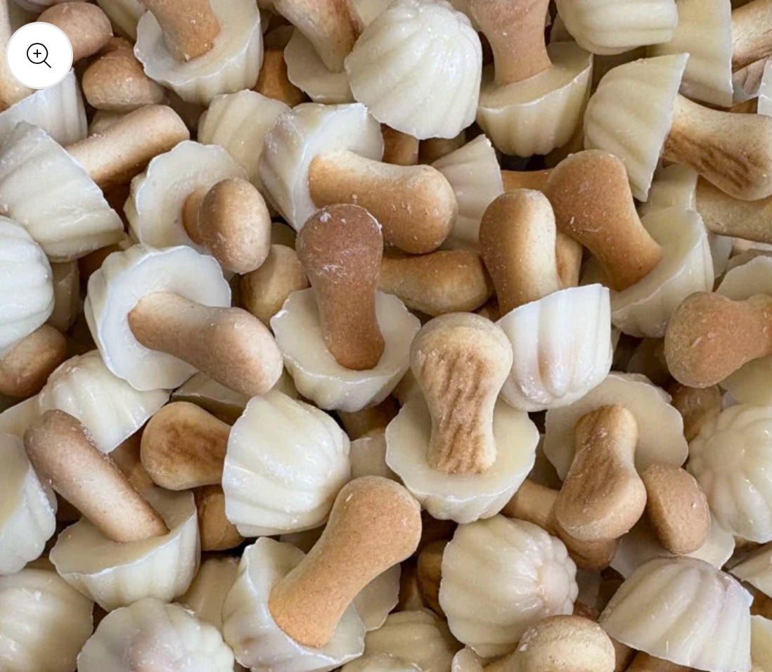 Champignon Chocolat Blanc - (lot de 10)