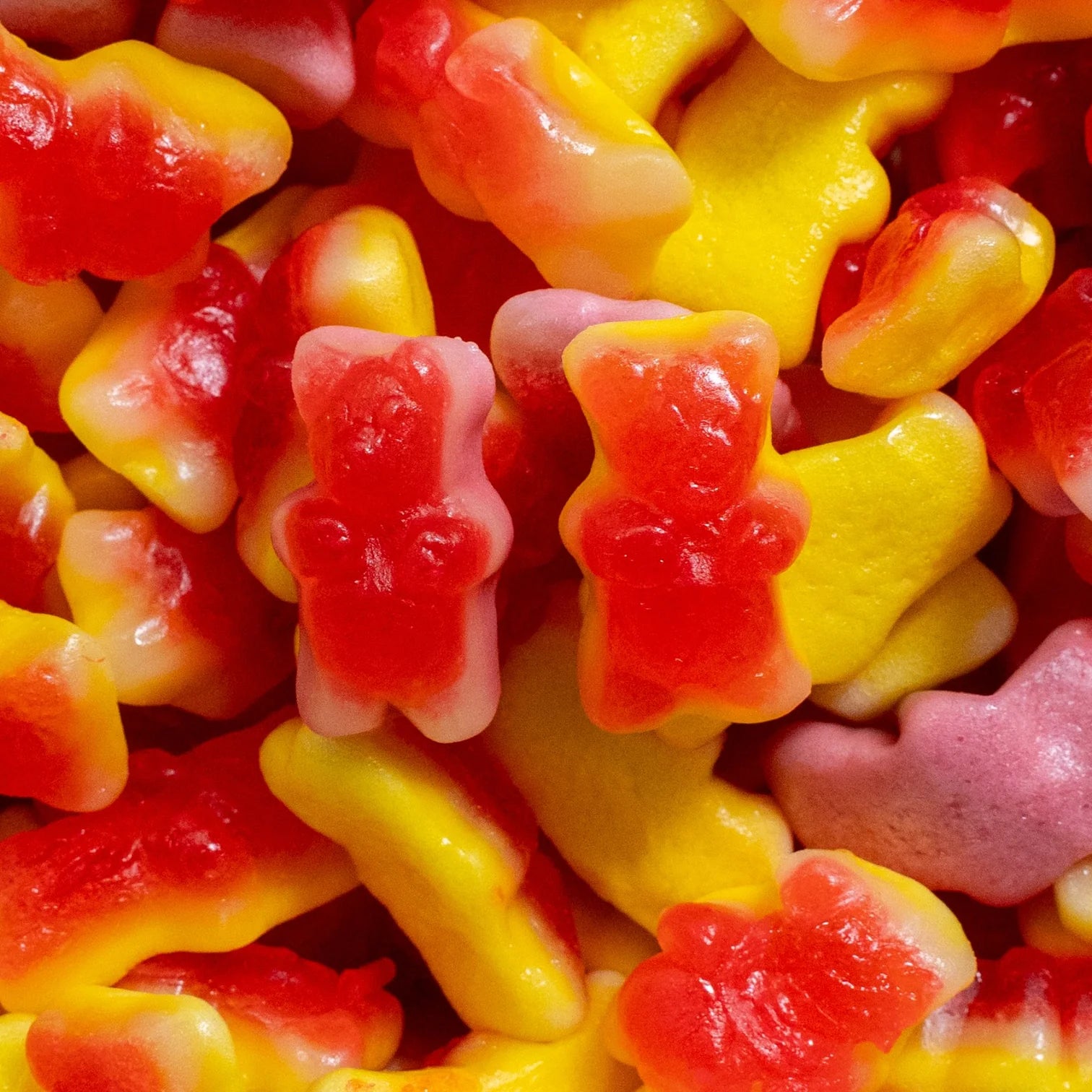 OURSONS FOURREES - 100g