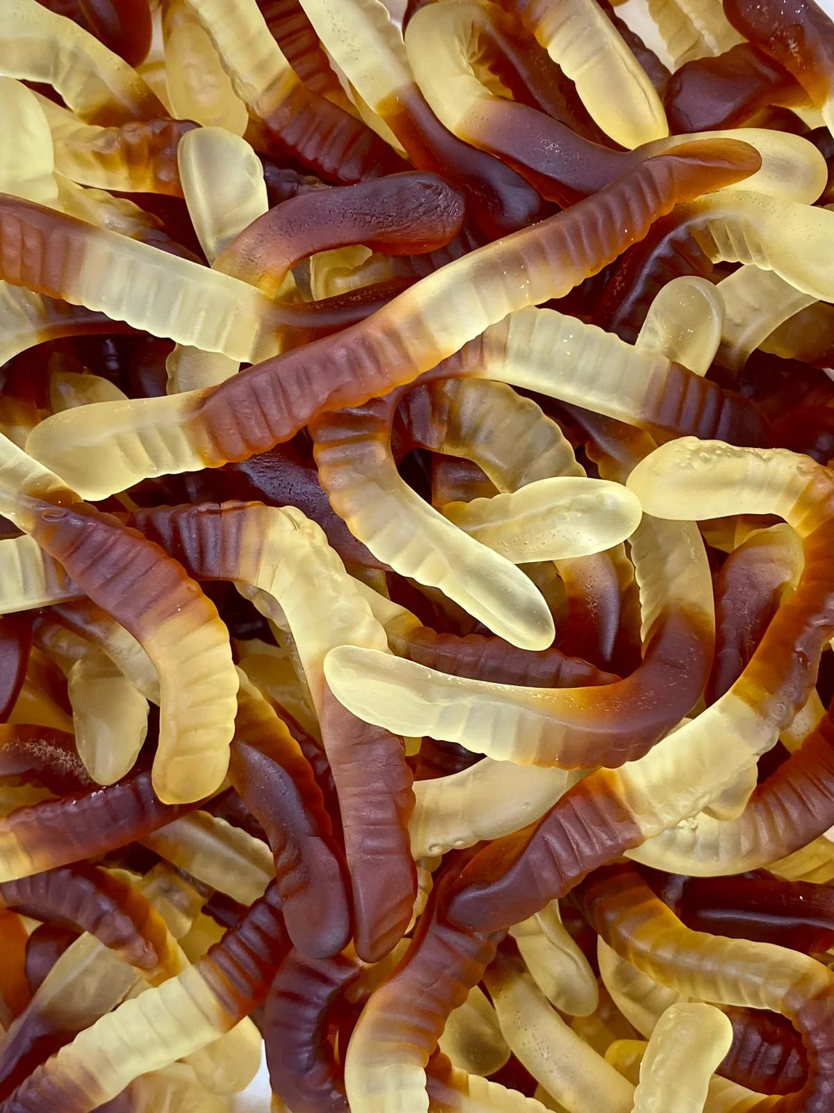 VERS DE COLA - 100g