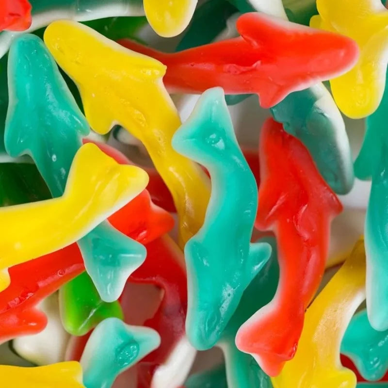 Requin - 100g