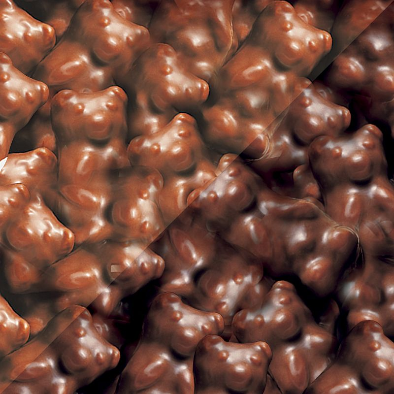 Koala guimauves choco lait - par lot de 5