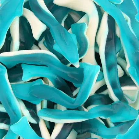 Bonbons Dauphins Géants - Lot de 4