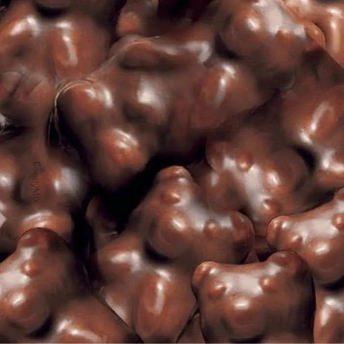 Oursons guimauves chocolat noir (100g)